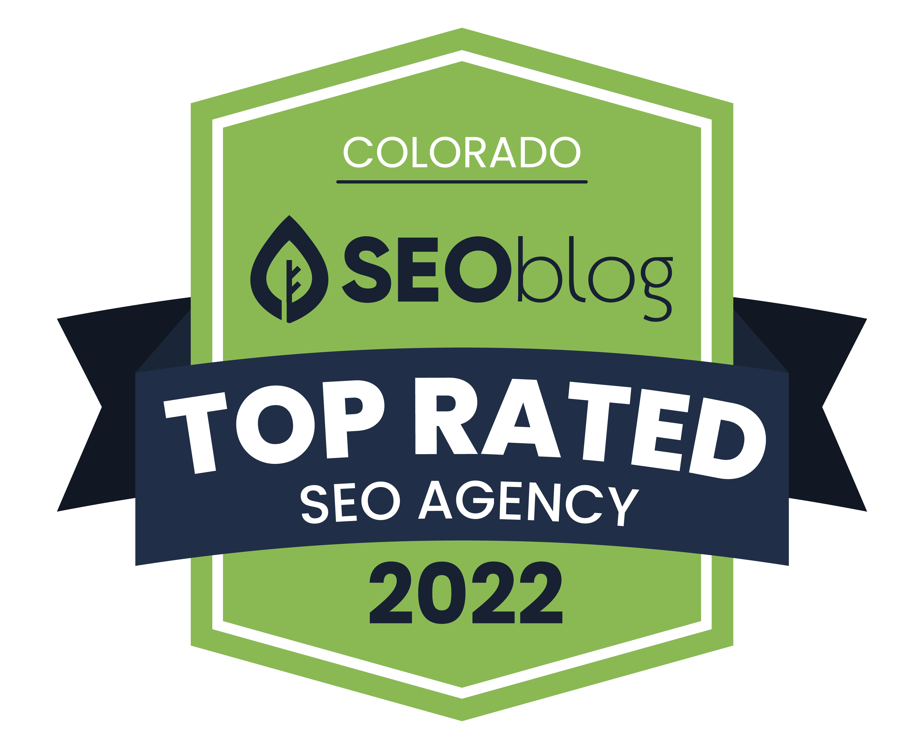 top seo agency 2022 award