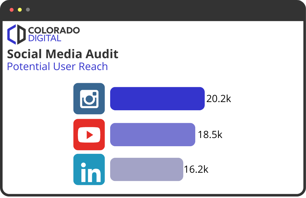 social media audit